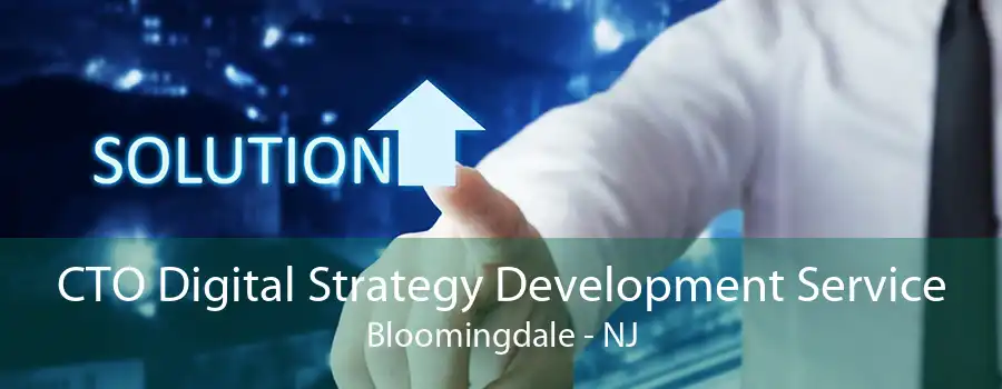 CTO Digital Strategy Development Service Bloomingdale - NJ