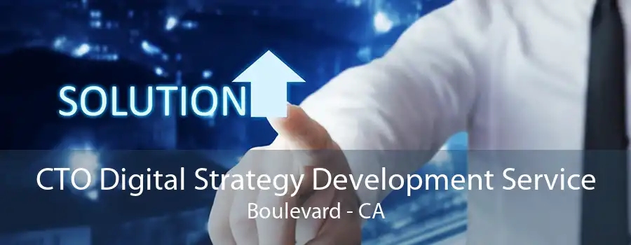 CTO Digital Strategy Development Service Boulevard - CA