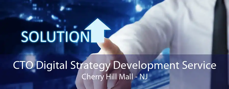 CTO Digital Strategy Development Service Cherry Hill Mall - NJ