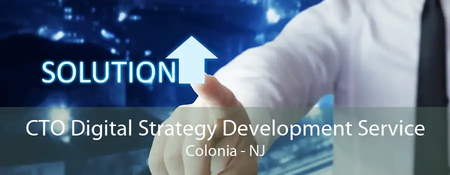 CTO Digital Strategy Development Service Colonia - NJ