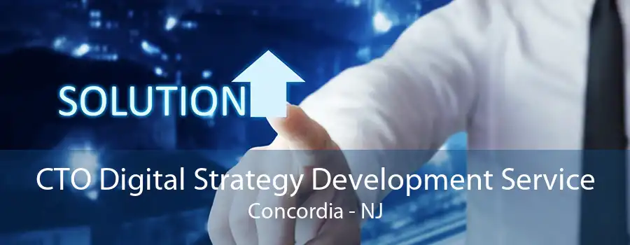 CTO Digital Strategy Development Service Concordia - NJ