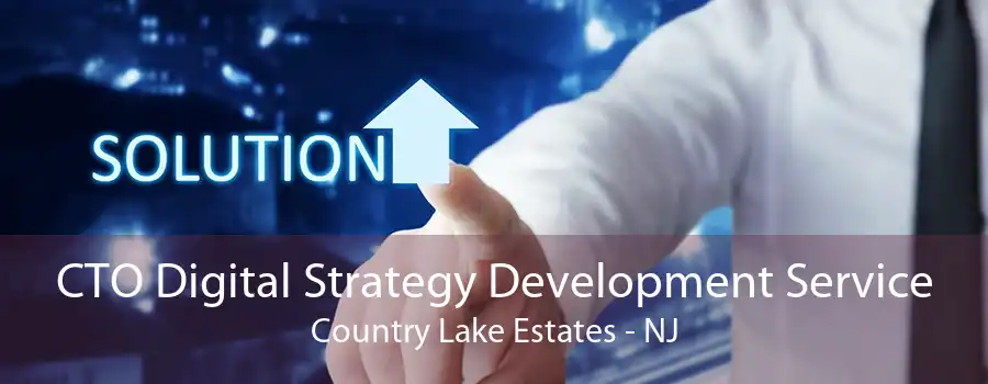 CTO Digital Strategy Development Service Country Lake Estates - NJ