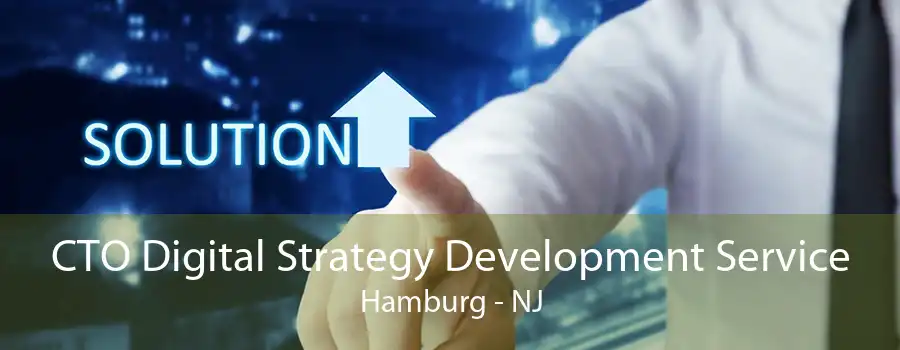 CTO Digital Strategy Development Service Hamburg - NJ