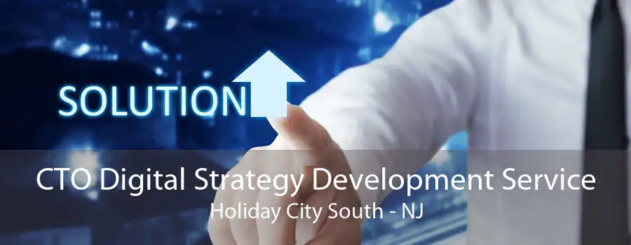 CTO Digital Strategy Development Service Holiday City South - NJ