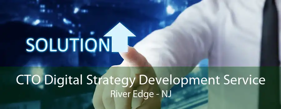 CTO Digital Strategy Development Service River Edge - NJ