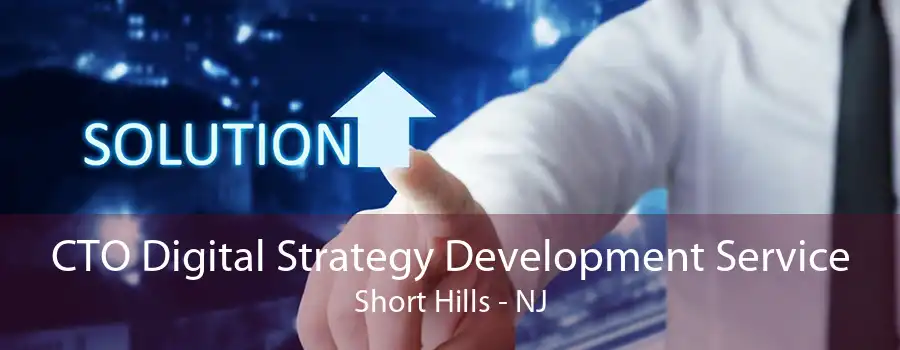 CTO Digital Strategy Development Service Short Hills - NJ