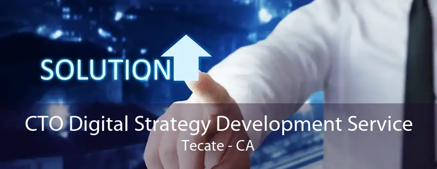 CTO Digital Strategy Development Service Tecate - CA
