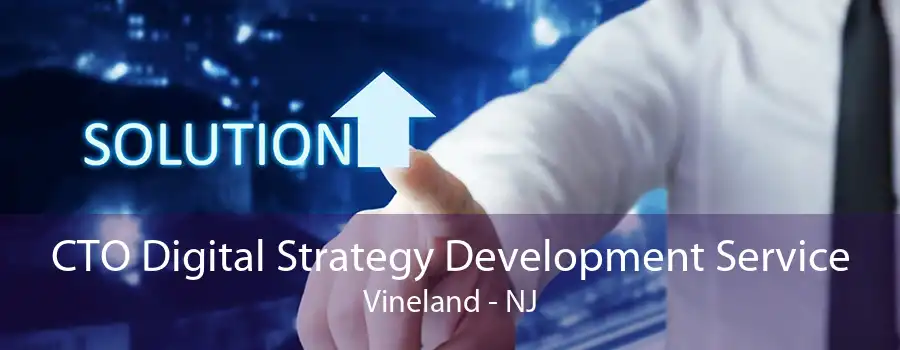 CTO Digital Strategy Development Service Vineland - NJ