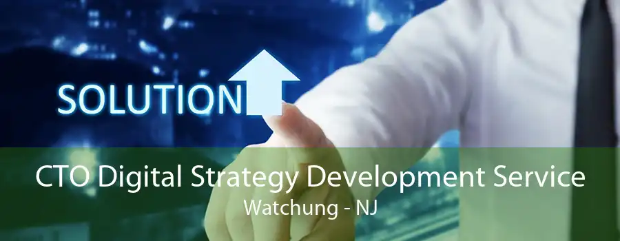 CTO Digital Strategy Development Service Watchung - NJ