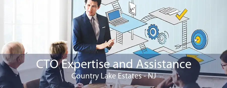 CTO Expertise and Assistance Country Lake Estates - NJ