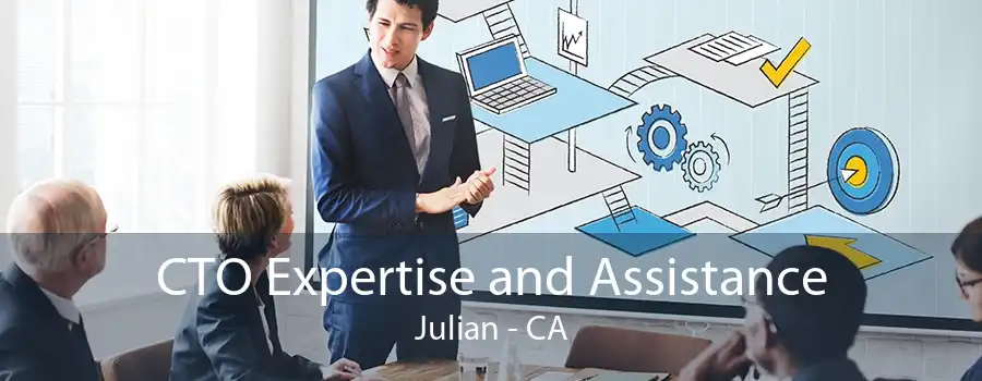 CTO Expertise and Assistance Julian - CA