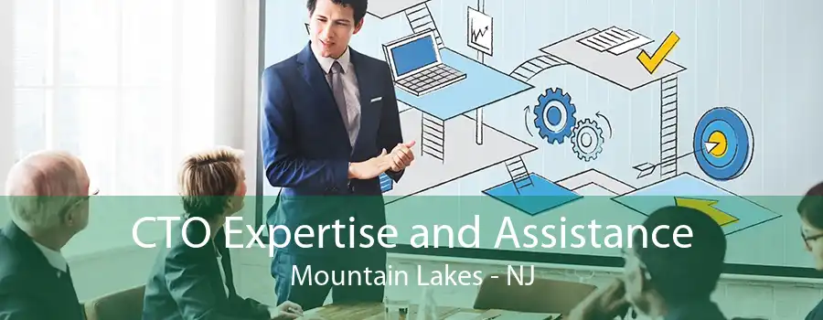 CTO Expertise and Assistance Mountain Lakes - NJ