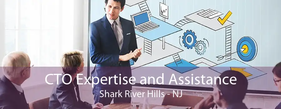 CTO Expertise and Assistance Shark River Hills - NJ