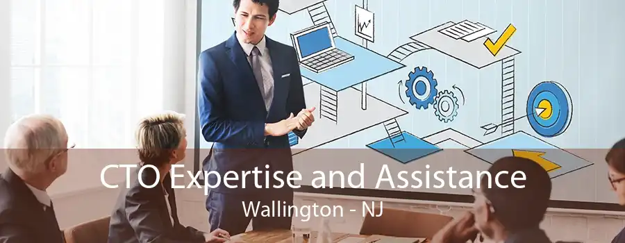 CTO Expertise and Assistance Wallington - NJ