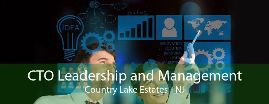 CTO Leadership and Management Country Lake Estates - NJ