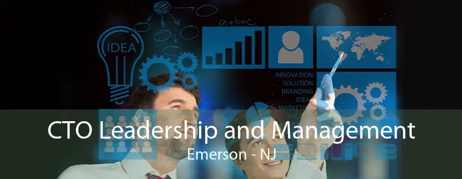 CTO Leadership and Management Emerson - NJ