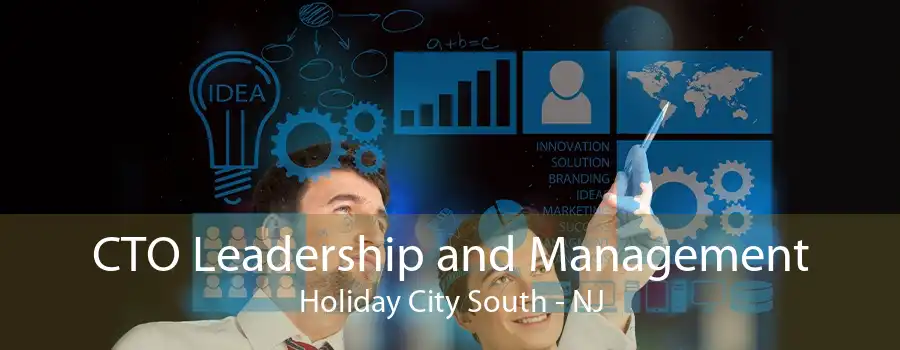 CTO Leadership and Management Holiday City South - NJ