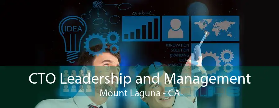 CTO Leadership and Management Mount Laguna - CA