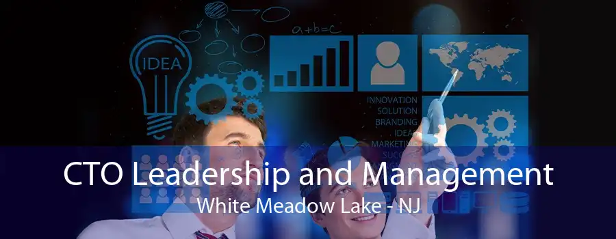 CTO Leadership and Management White Meadow Lake - NJ