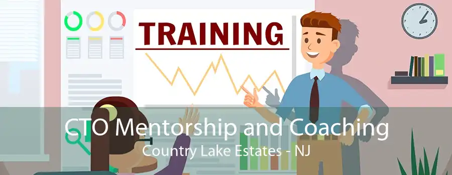 CTO Mentorship and Coaching Country Lake Estates - NJ