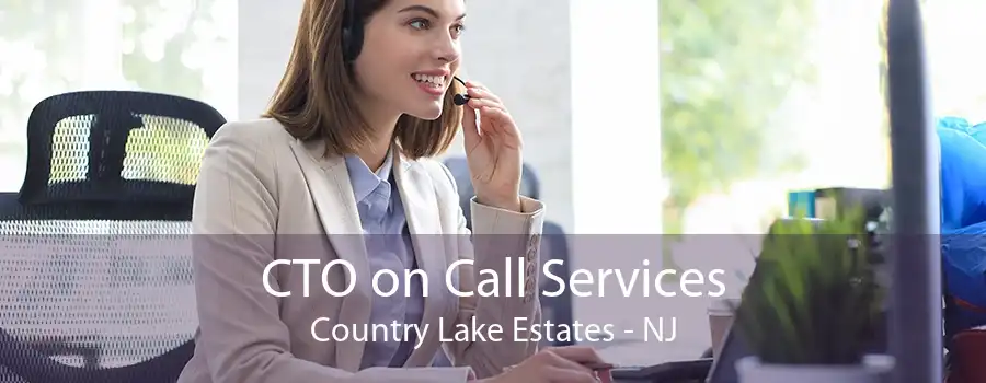 CTO on Call Services Country Lake Estates - NJ