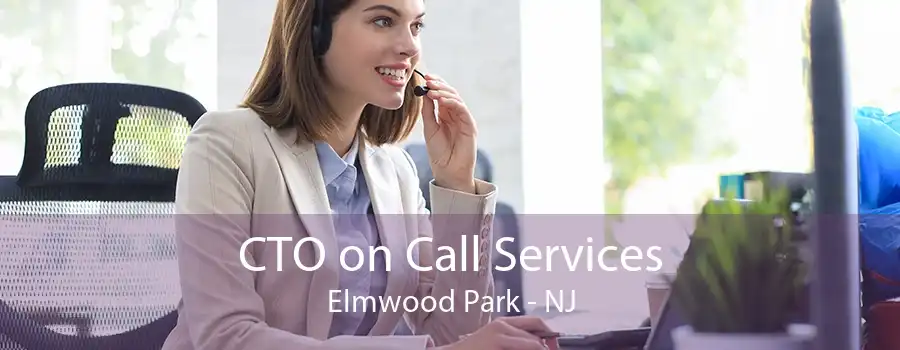 CTO on Call Services Elmwood Park - NJ