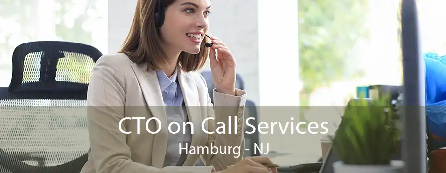 CTO on Call Services Hamburg - NJ