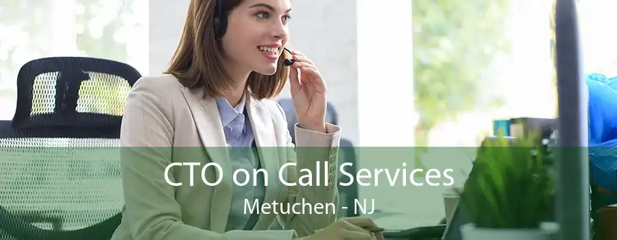 CTO on Call Services Metuchen - NJ