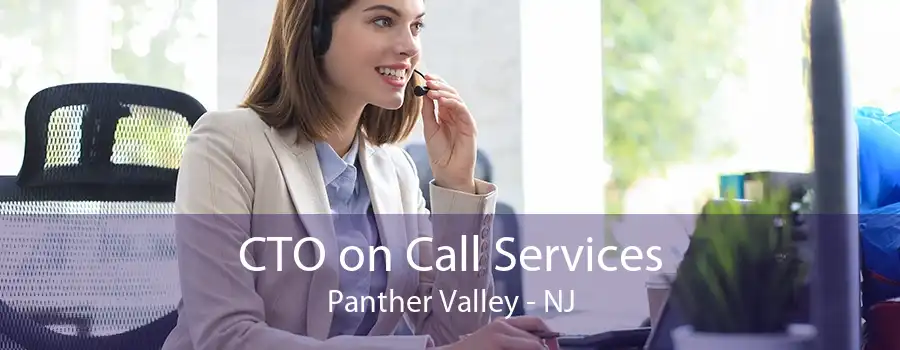 CTO on Call Services Panther Valley - NJ