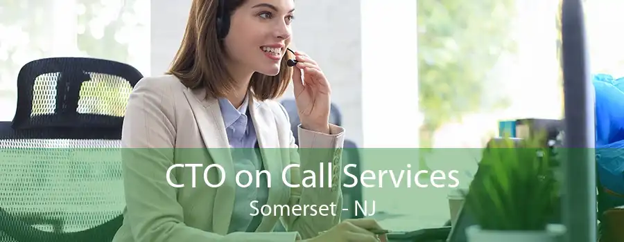 CTO on Call Services Somerset - NJ