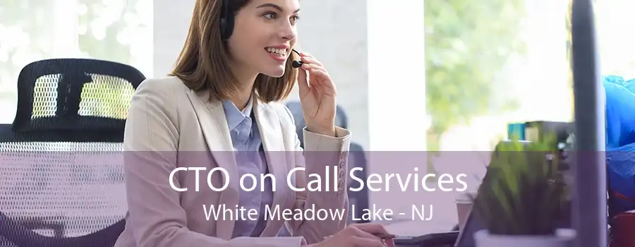 CTO on Call Services White Meadow Lake - NJ