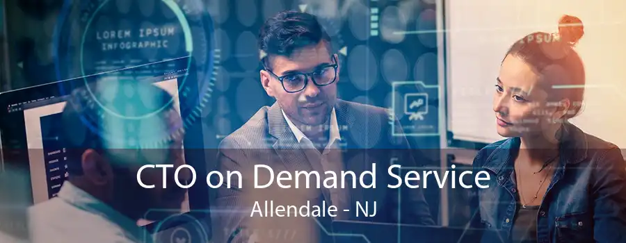 CTO on Demand Service Allendale - NJ