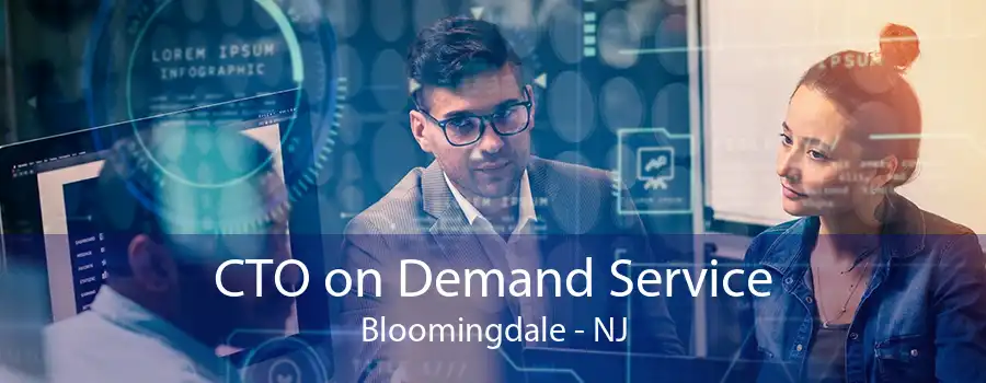 CTO on Demand Service Bloomingdale - NJ