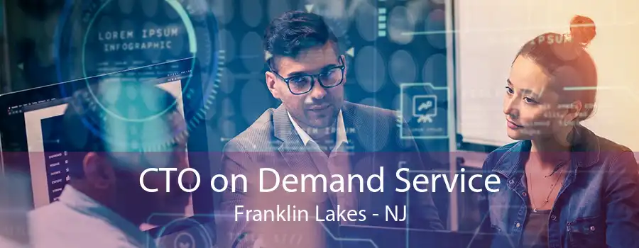 CTO on Demand Service Franklin Lakes - NJ