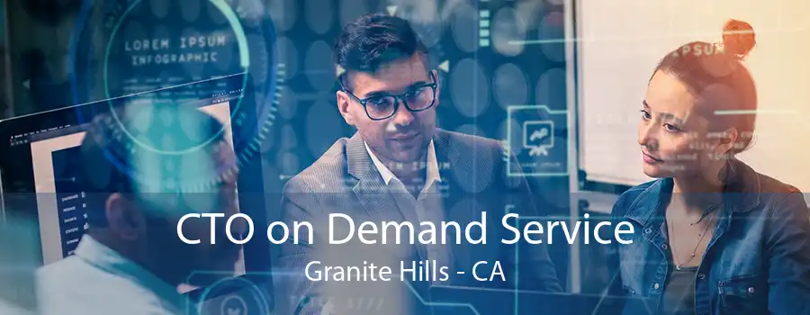 CTO on Demand Service Granite Hills - CA