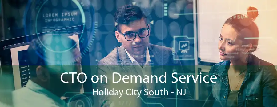 CTO on Demand Service Holiday City South - NJ