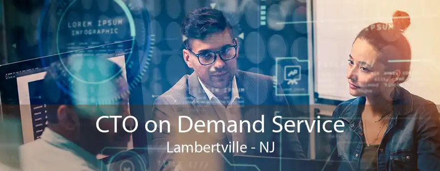 CTO on Demand Service Lambertville - NJ