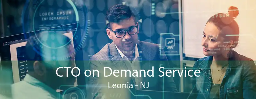 CTO on Demand Service Leonia - NJ