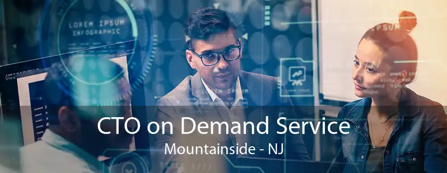 CTO on Demand Service Mountainside - NJ