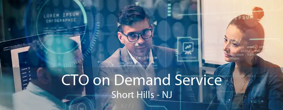 CTO on Demand Service Short Hills - NJ