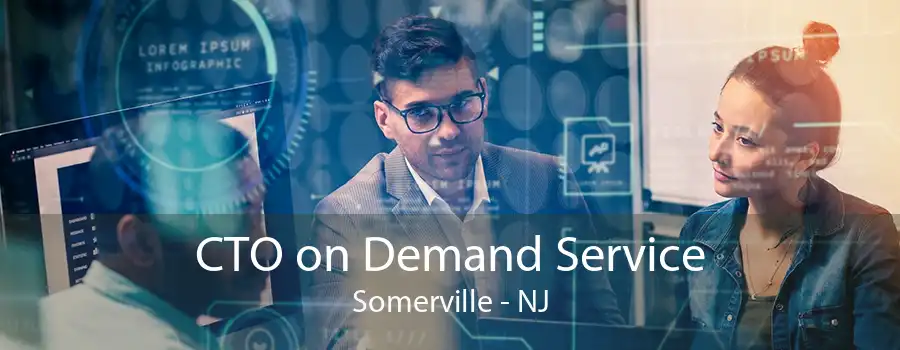 CTO on Demand Service Somerville - NJ
