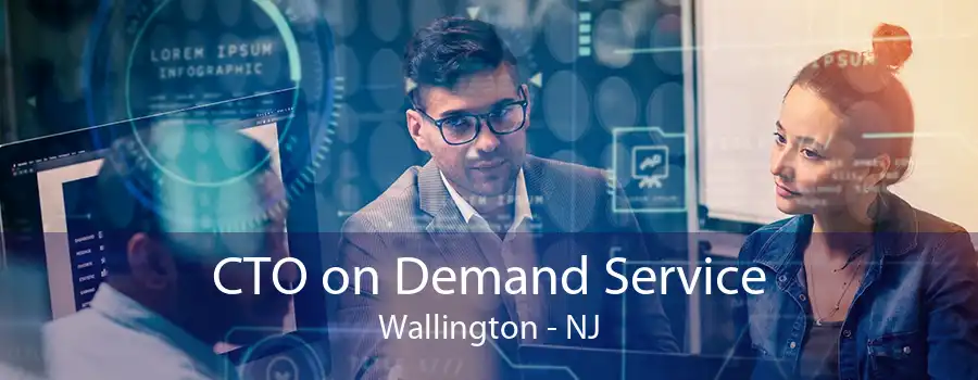 CTO on Demand Service Wallington - NJ