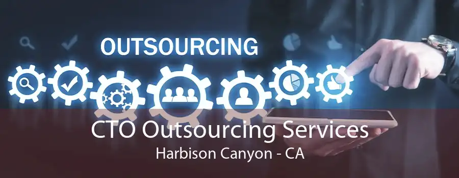 CTO Outsourcing Services Harbison Canyon - CA