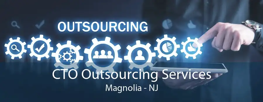 CTO Outsourcing Services Magnolia - NJ