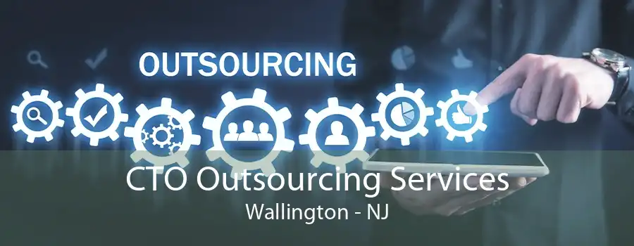 CTO Outsourcing Services Wallington - NJ