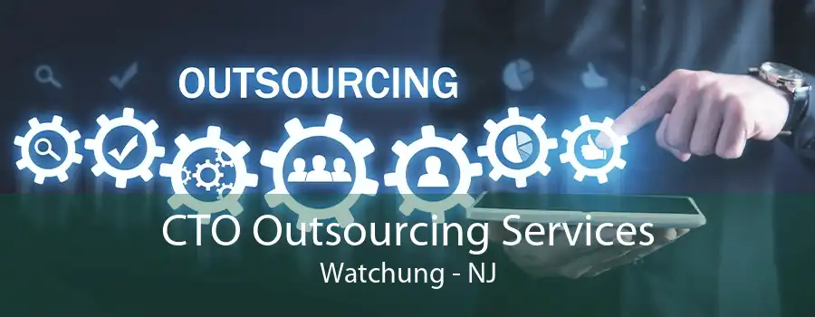 CTO Outsourcing Services Watchung - NJ