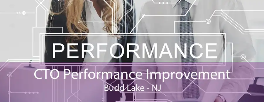 CTO Performance Improvement Budd Lake - NJ