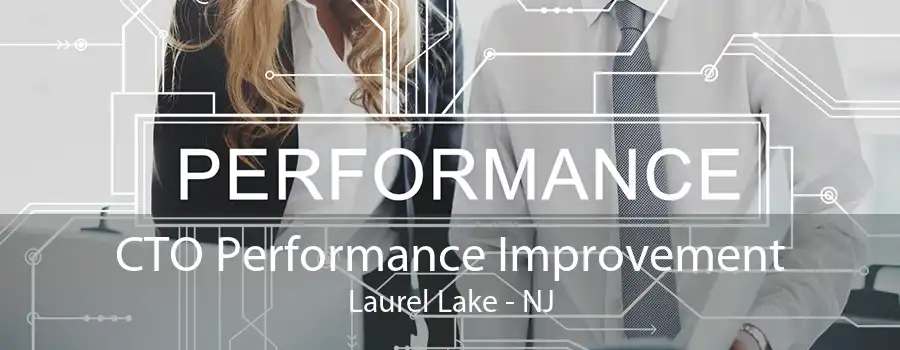 CTO Performance Improvement Laurel Lake - NJ