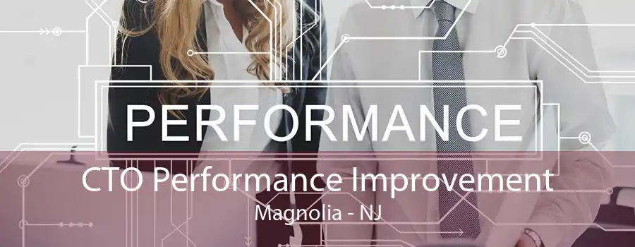 CTO Performance Improvement Magnolia - NJ