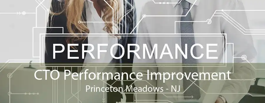 CTO Performance Improvement Princeton Meadows - NJ